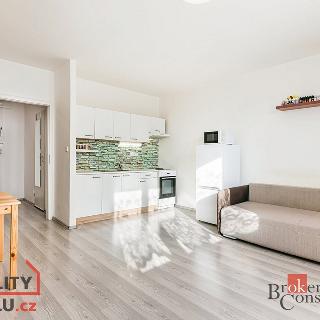 Pronájem bytu 1+kk a garsoniéry 33 m² Brno, Prušánecká