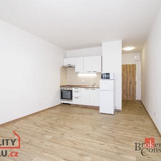 Pronájem bytu 1+kk a garsoniéry 25 m² Ostrava, U Parku