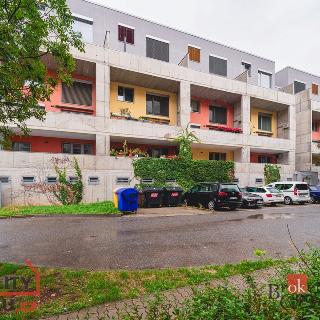 Pronájem bytu 2+kk 70 m² Beroun, Nad Paloučkem