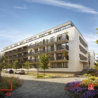 Prodej bytu 2+kk 54 m² Plzeň, Goldscheiderova