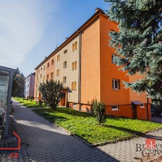 Pronájem bytu 2+1 58 m² Rychnov nad Kněžnou