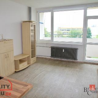 Pronájem bytu 1+kk a garsoniéry 21 m² Litvínov, Mostecká