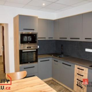 Pronájem bytu 2+1 55 m² Ostrov, S. K. Neumanna