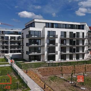 Pronájem bytu 1+kk a garsoniéry 32 m² Plzeň, Železná