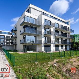 Pronájem bytu 1+kk a garsoniéry 44 m² Plzeň, Goldscheiderova