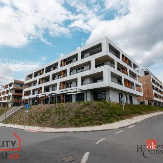 Pronájem bytu 1+kk a garsoniéry 29 m² Plzeň, Kartónová