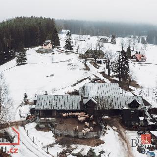 Prodej stavební parcely 2 268 m² Pec pod Sněžkou, 