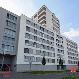 Prodej bytu 3+kk 87 m² Plzeň, Nemocniční