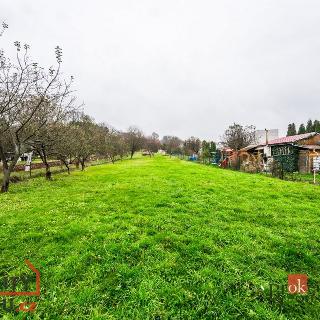 Prodej stavební parcely 2 214 m² Ráječko, 