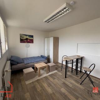 Prodej bytu 1+kk a garsoniéry 19 m² Chomutov, Kundratická