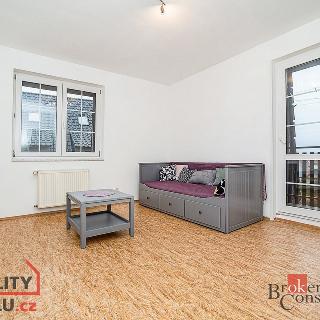 Pronájem bytu 1+1 35 m² Velké Přílepy, Sukova