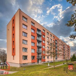 Prodej bytu 5+1 a více 88 m² Vamberk, Struha