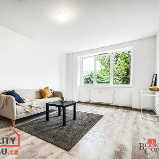 Prodej bytu 1+kk a garsoniéry 33 m² Ústí nad Labem, Purkyňova