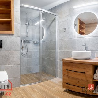 Prodej bytu 1+kk a garsoniéry 34 m² Černý Důl, 