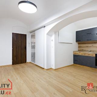 Prodej bytu 2+kk 40 m² Plzeň, Zikmunda Wintra