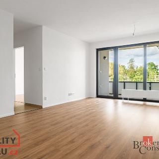 Prodej bytu 2+kk 67 m² Plzeň, Kartónová