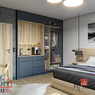 Prodej bytu 1+kk a garsoniéry 31 m² Černý Důl, 