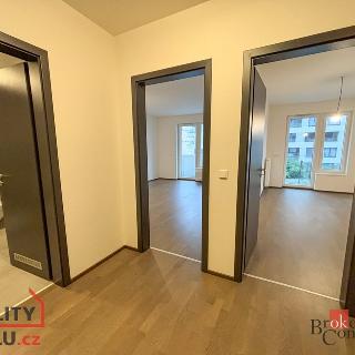 Pronájem bytu 2+kk 50 m² Praha, Fafkových