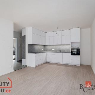 Pronájem bytu 2+kk 55 m² Plzeň, Kartónová