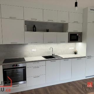 Pronájem bytu 2+kk 52 m² Plzeň, Kartónová