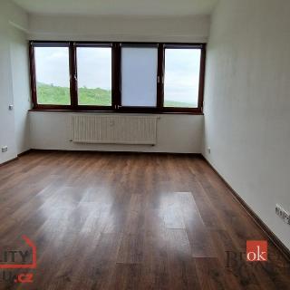 Pronájem bytu 1+kk a garsoniéry 27 m² Litvínov, Koldům