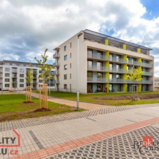 Pronájem bytu 1+kk a garsoniéry 27 m² Chrudim, Luhanova