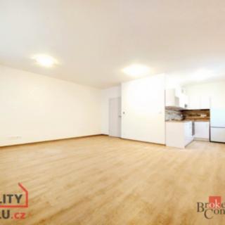 Pronájem bytu 1+kk, garsoniery 42 m² Plzeň