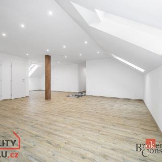 Prodej bytu 5+kk 133 m² Plzeň, K Poli