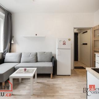 Prodej bytu 1+1 38 m² Abertamy, Vodárenská