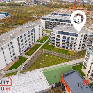 Pronájem bytu 2+kk 82 m² Plzeň, Goldscheiderova