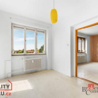 Prodej bytu 3+1 68 m² Srch, Družstevní