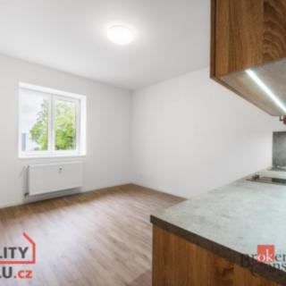 Prodej bytu 1+kk a garsoniéry 23 m² Ostrava, Palackého