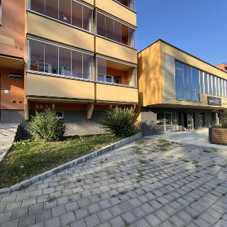 Pronájem bytu 2+1 58 m² Ostrava, Sokolovská