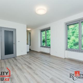 Pronájem bytu 1+kk a garsoniéry 32 m² Chrudim, Podkopanický mlýn