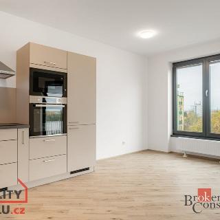 Pronájem bytu 2+kk 52 m² Plzeň, Železná