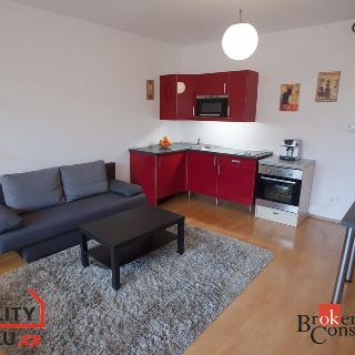 Pronájem bytu 1+kk a garsoniéry 43 m² Praha, Podle náhonu