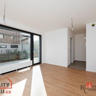 Prodej bytu 1+kk a garsoniéry 28 m² Plzeň, Kartónová