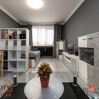 Prodej bytu 1+1 40 m² Plzeň, Nepomucká