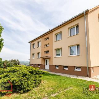 Prodej bytu 3+1 79 m² Zaječí, Školní