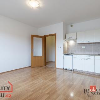 Pronájem bytu 1+kk a garsoniéry 26 m² Brno, Nachová