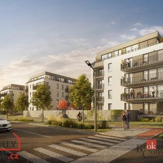 Prodej bytu 1+kk a garsoniéry 25 m² Plzeň, Goldscheiderova