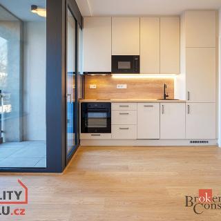 Pronájem bytu 1+kk a garsoniéry 27 m² Praha, U Lihovaru