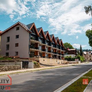 Prodej bytu 1+kk a garsoniéry 64 m² Železná Ruda, Javorská