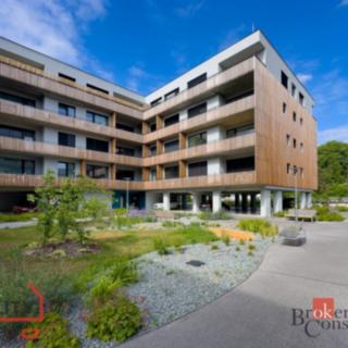 Pronájem bytu 1+kk a garsoniéry 35 m² Plzeň Východní Předměstí, Kartónová