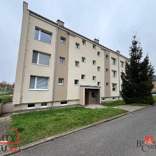 Prodej bytu 3+1 91 m² Třebenice