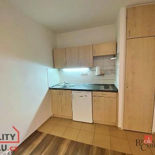 Pronájem bytu 1+kk a garsoniéry 27 m² Ostrava, Gen. Píky