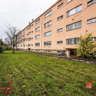 Pronájem bytu 2+kk 49 m² Prostějov, Raisova