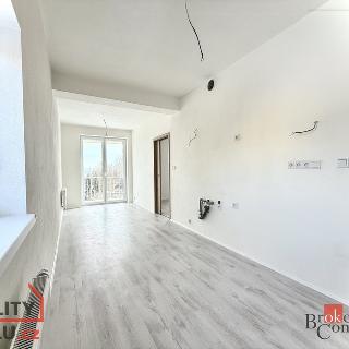 Prodej bytu 1+1 38 m² Nová Role, Svobodova