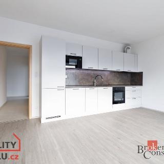 Pronájem bytu 2+kk 68 m² Plzeň, Goldscheiderova