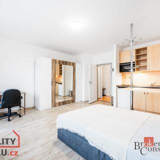 Pronájem bytu 1+kk a garsoniéry 33 m² Brno, 